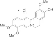 Jatrorrhizine Chloride