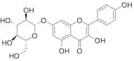 Kaempferol-7-O-Beta-D-glucoside