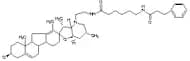 3-Keto-N-aminoethyl-N’-aminocaproyldihydrocinnamoyl Cyclopamine
