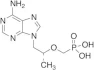 Tenofovir (1.0 mg/mL in Water)