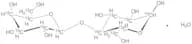 Lactose -13C12