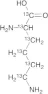 DL-Lysine2HCl (13C6)