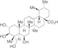 Madecassic Acid (97%)