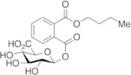 Monobutyl Phthalate Acyl-Beta-D-glucuronide