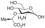 Muramic Acid