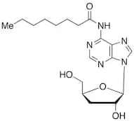 N6-Octanoyl Cordycepin
