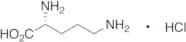 D-Ornithine Hydrochloride