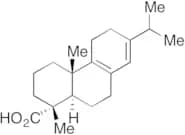 Palustric Acid