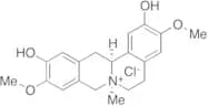 Phellodendrine Chloride