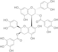 Procyanidin B2 3,3'-di-O-gallate (>80%)