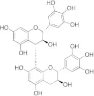 Prodelphinidin B3