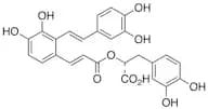 Salvianolic Acid A