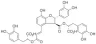 Salvianolic Acid B