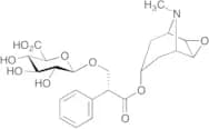 Scopolamine Beta-D-Glucuronide