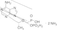 Tenofovir Phosphate Diammonia Salt, >90%