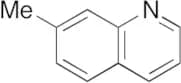 m-Toluquinoline