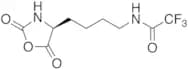 N6-Trifluoroacetyl-L-lysine N-Carboxyanhydride
