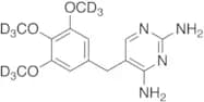 Trimethoprim-d9 (Major)