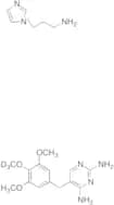 Trimethoprim-d4 (Major)