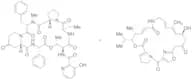 Virginiamycin(>85%)